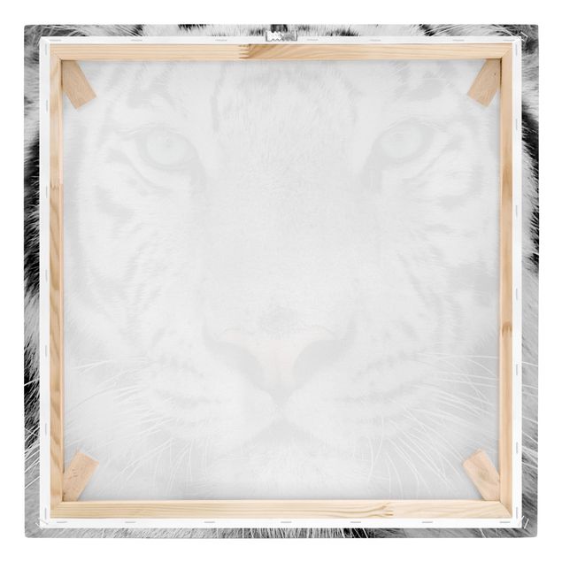 Leinwandbilder Wohnzimmer modern Weißer Tiger