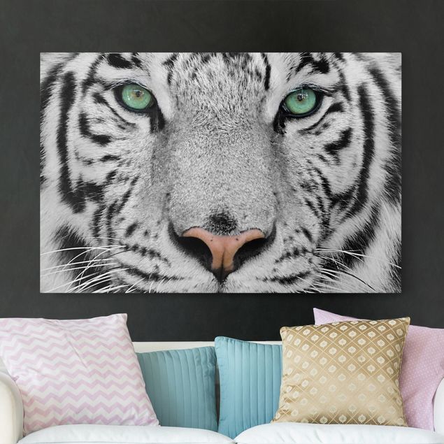 Wandbilder XXL Weißer Tiger