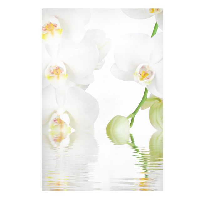 Bilder für die Wand Wellness Orchidee - Weiße Orchidee