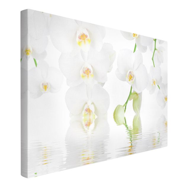 Leinwandbilder Wohnzimmer modern Wellness Orchidee - Weiße Orchidee