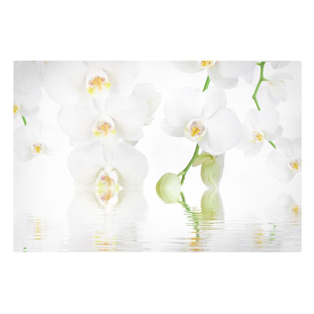Schöne Wandbilder Wellness Orchidee - Weiße Orchidee