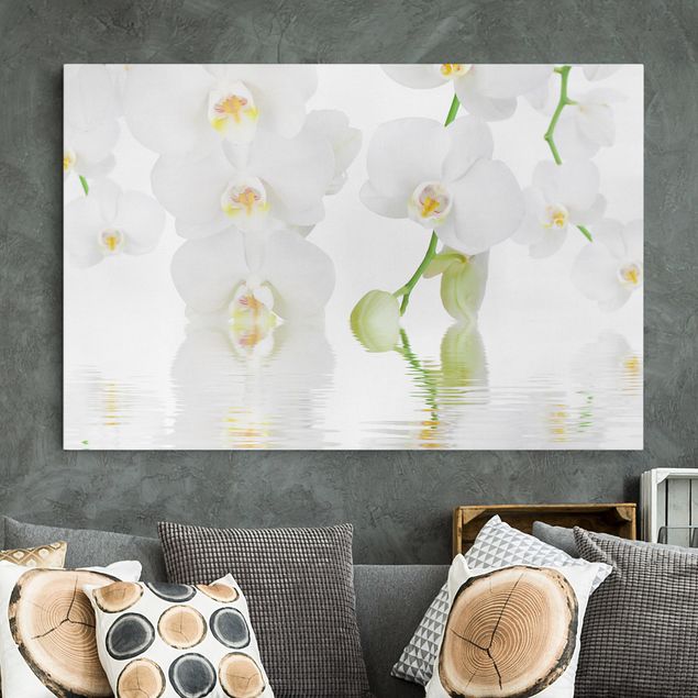 Leinwandbilder XXL Wellness Orchidee - Weiße Orchidee