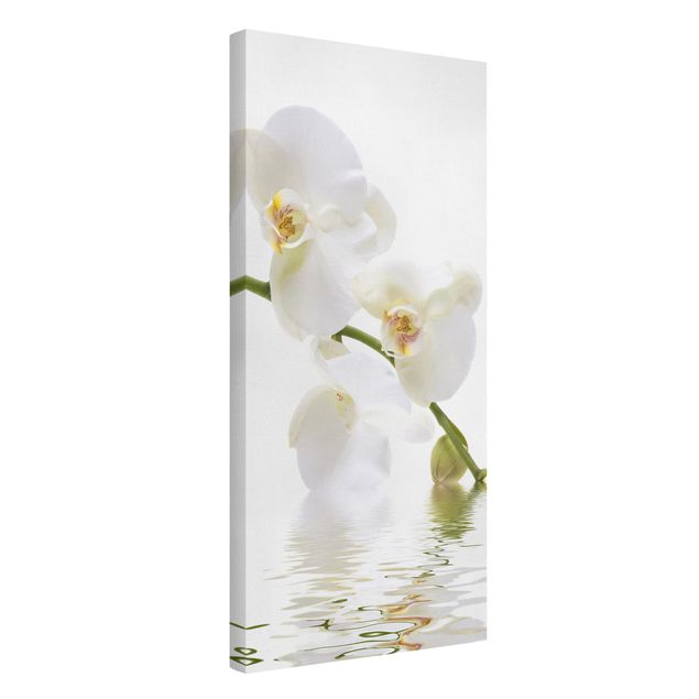 Leinwandbilder Wohnzimmer modern White Orchid Waters