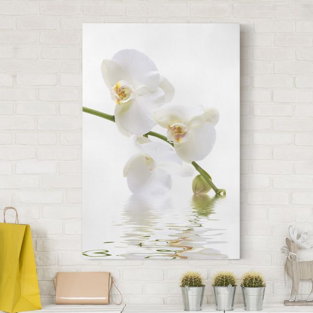 Leinwandbilder XXL White Orchid Waters