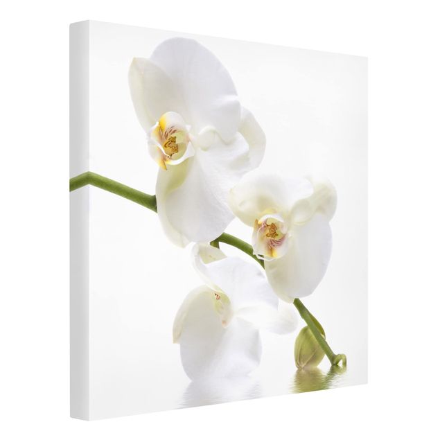 Moderne Leinwandbilder Wohnzimmer White Orchid Waters