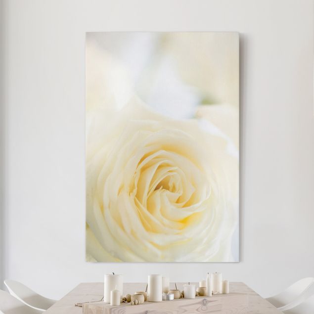 Leinwand Bilder XXL White Rose