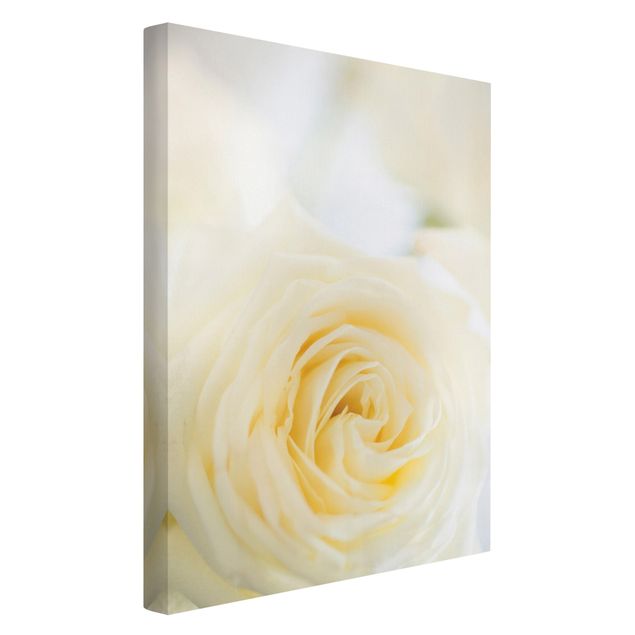 Moderne Leinwandbilder Wohnzimmer White Rose