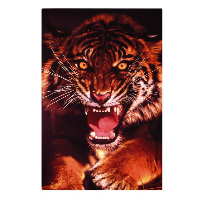 Wandbilder Tiere Wilder Tiger