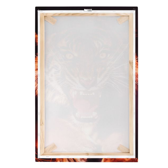 Wandbilder Wilder Tiger