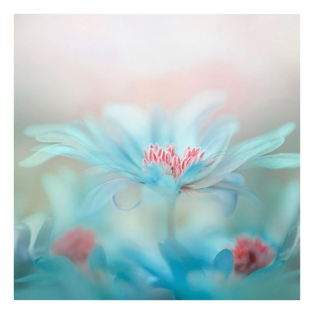 Schöne Leinwandbilder Zarte Blüten in Pastell
