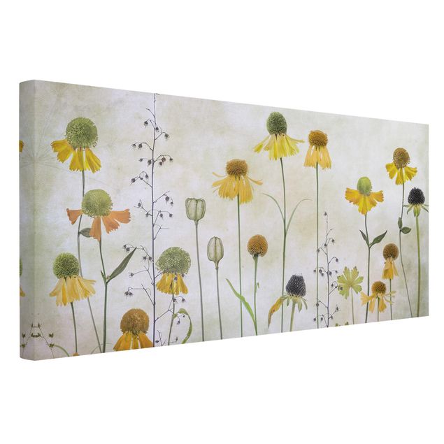 Wandbilder Vintage Zarte Helenium Blüten