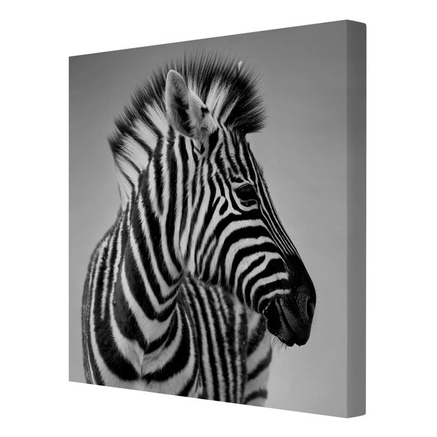 Leinwandbilder Wohnzimmer modern Zebra Baby Portrait II