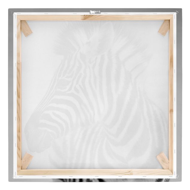 Schöne Wandbilder Zebra Baby Portrait II