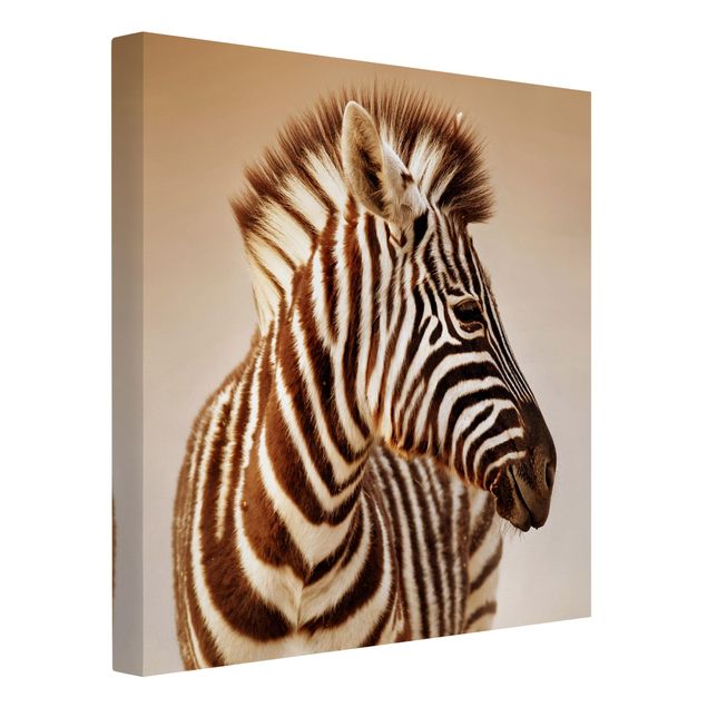 Wandbilder Tiere Zebra Baby Portrait