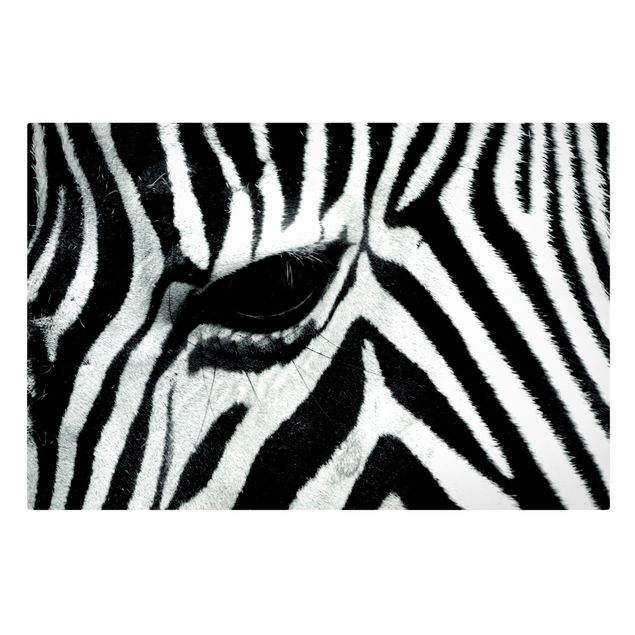 Wandbilder Tiere Zebra Crossing