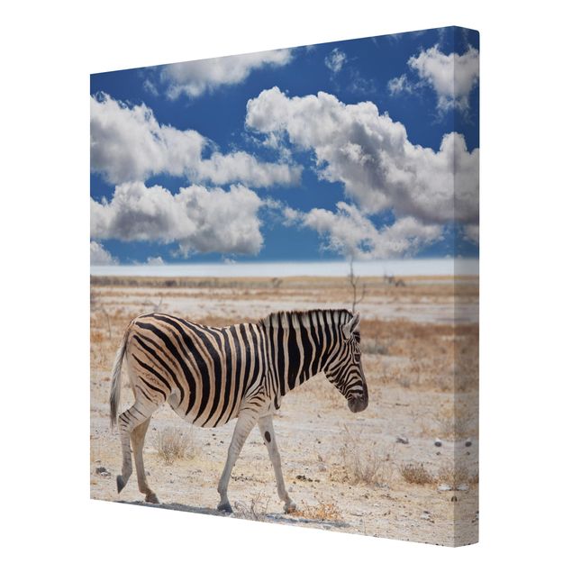 Wandbilder Tiere Zebra in der Savanne