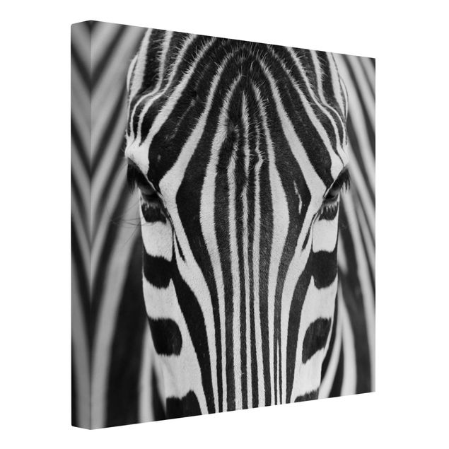 Tierbilder auf Leinwand Zebra Look
