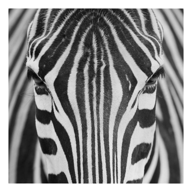 Moderne Leinwandbilder Wohnzimmer Zebra Look