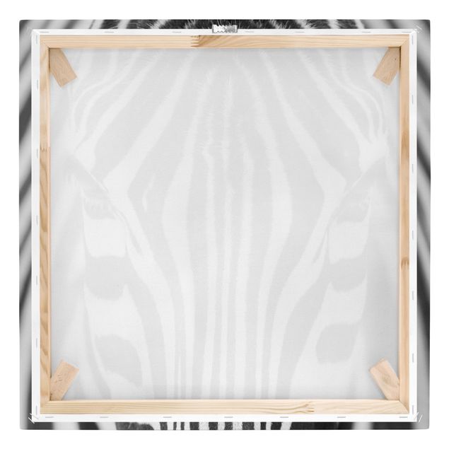 Schöne Leinwandbilder Zebra Look