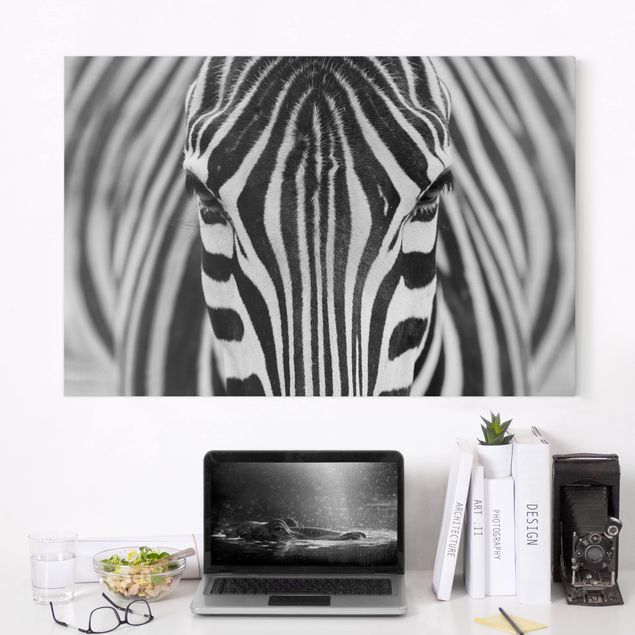 Leinwandbilder XXL Zebra Look