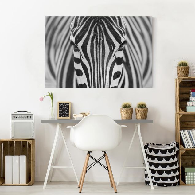 Wandbilder Zebra Zebra Look