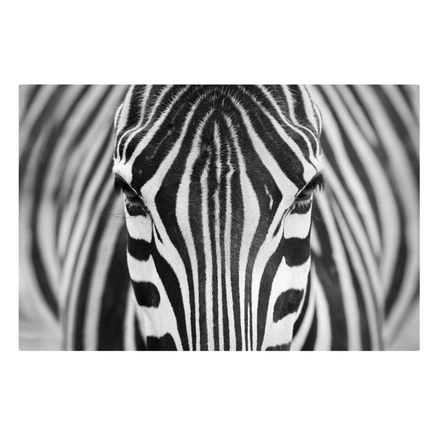 Leinwandbilder Tier Zebra Look