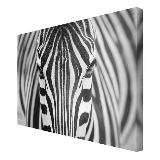 Leinwandbilder Wohnzimmer modern Zebra Look