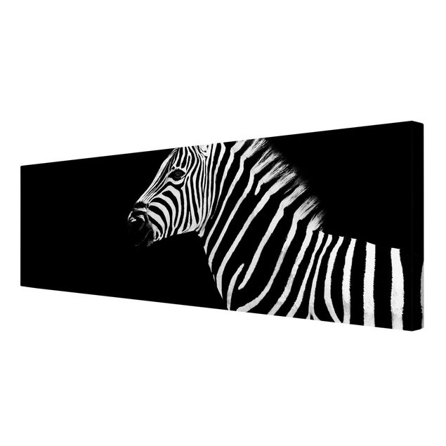 Tierbilder auf Leinwand Zebra Safari Art