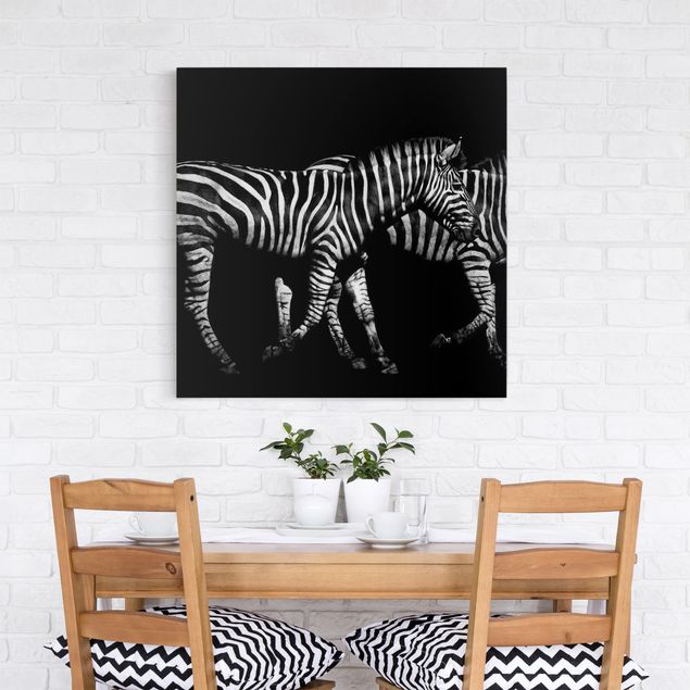 Zebra Bild auf Leinwand Zebra vor Schwarz