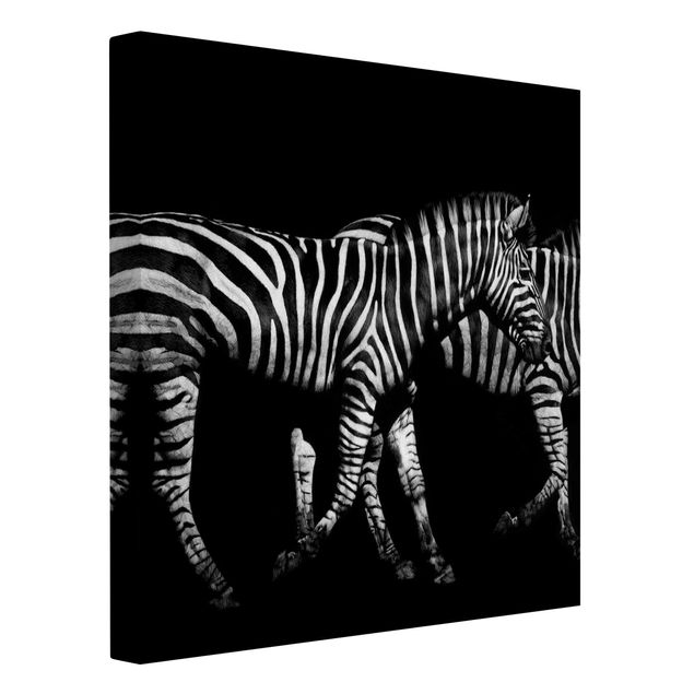 Leinwandbilder Schwarz-Weiß Zebra vor Schwarz