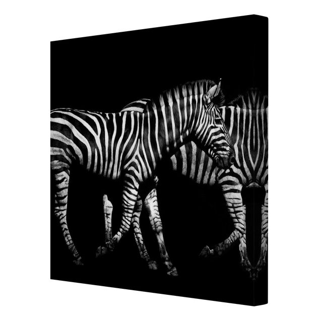 Wandbilder Wohnzimmer modern Zebra vor Schwarz