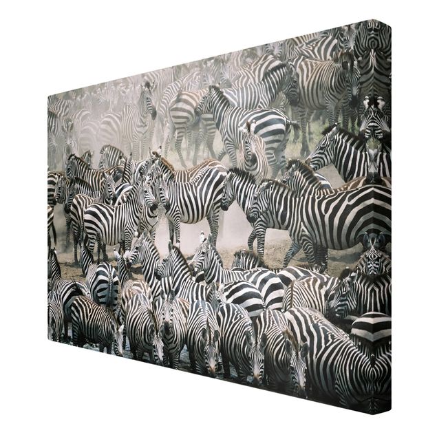 Wandbilder Wohnzimmer modern Zebraherde