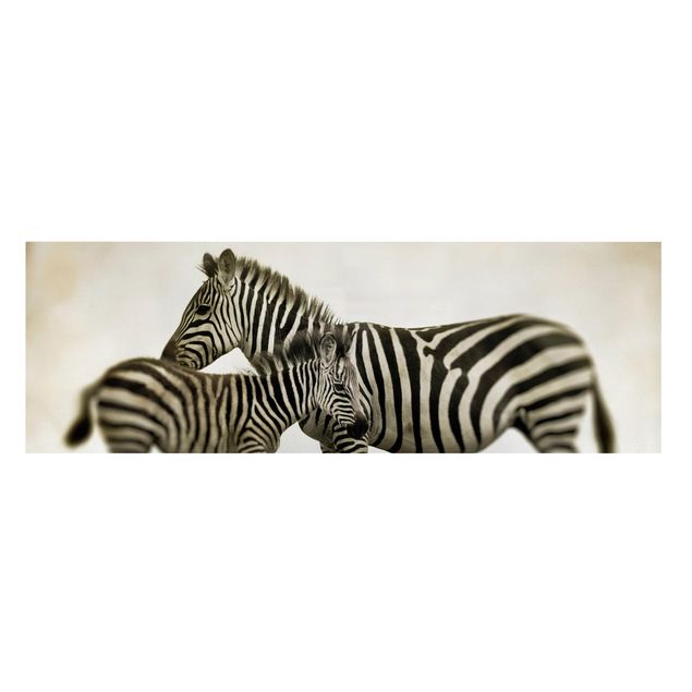 Tierbilder auf Leinwand Zebrapaar