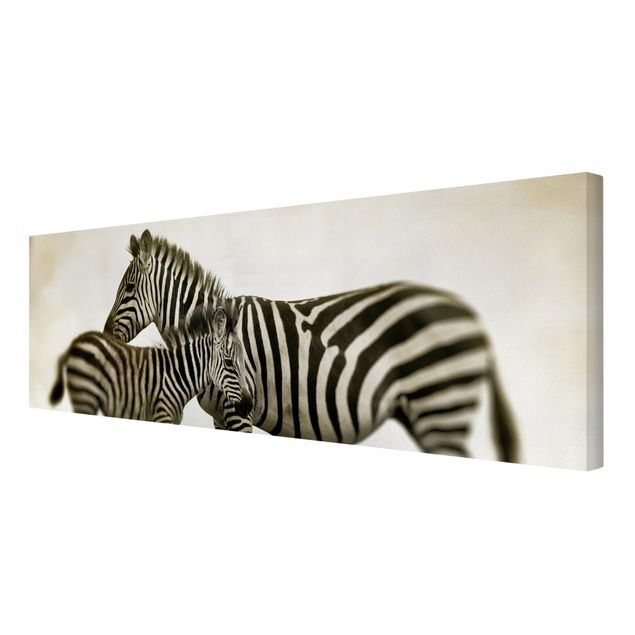 Moderne Leinwandbilder Wohnzimmer Zebrapaar
