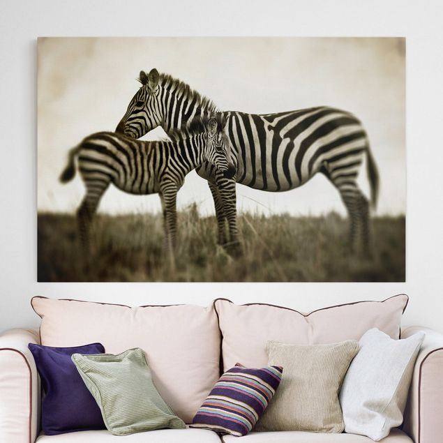 Wandbilder XXL Zebrapaar