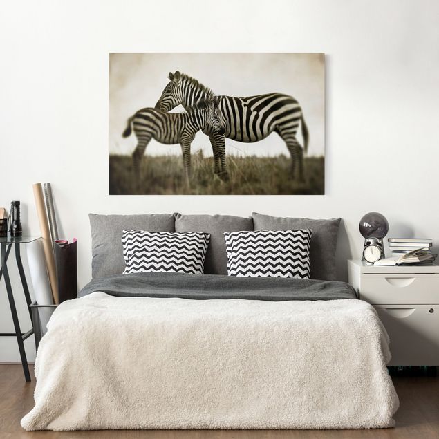 Zebra Bild auf Leinwand Zebrapaar