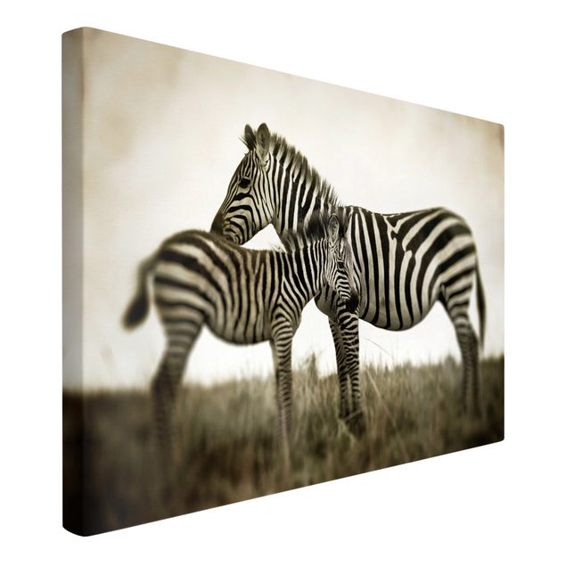 Leinwandbilder Schwarz-Weiß Zebrapaar