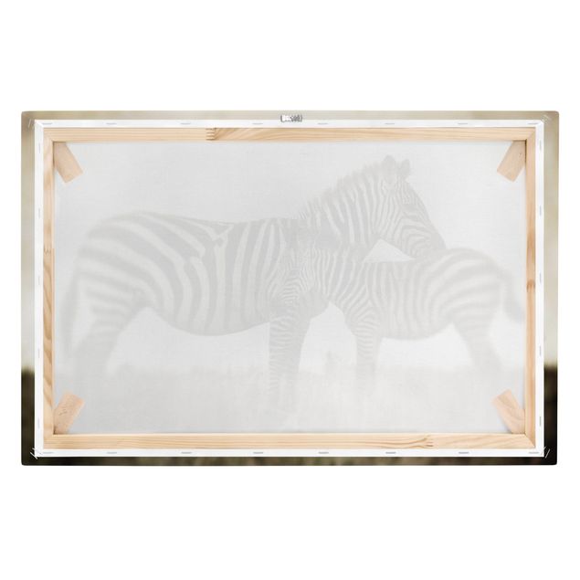 Wandbilder Zebrapaar
