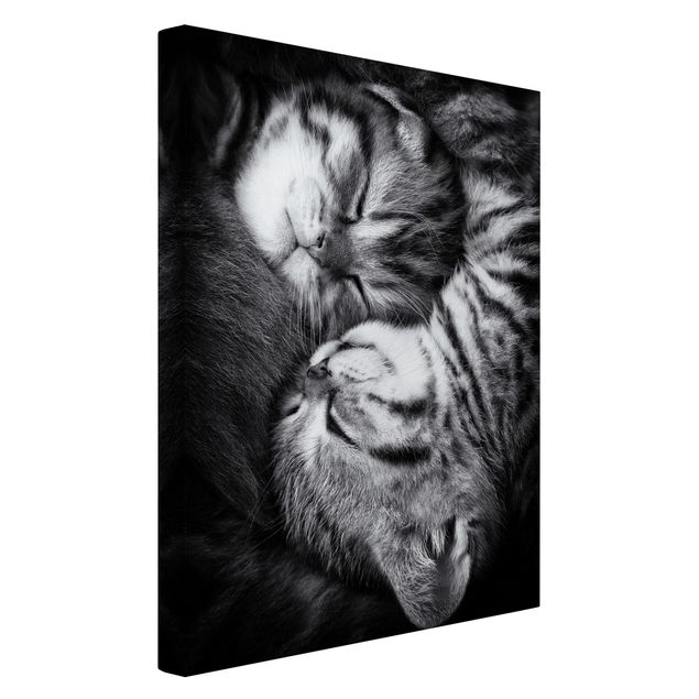 Leinwandbilder Schwarz-Weiß Zwei Kätzchen