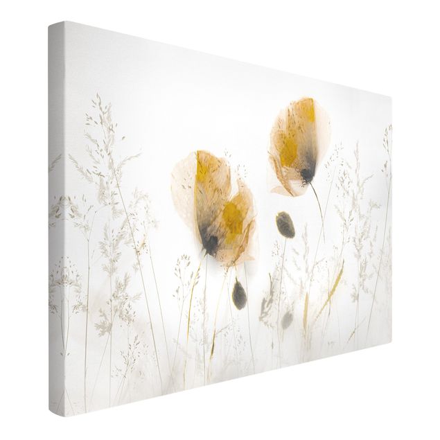 Bilder für die Wand Mohnblumen und zarte Gräser im weichen Nebel