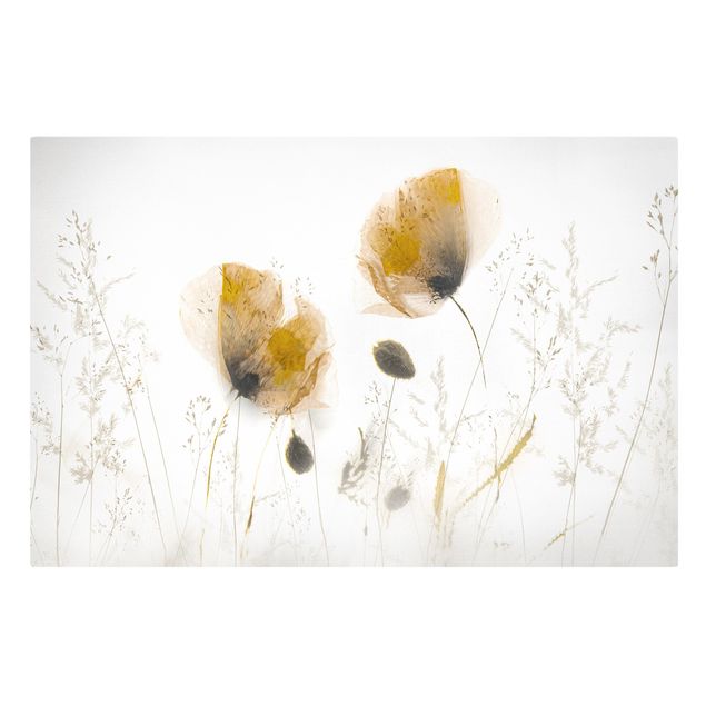 Schöne Leinwandbilder Mohnblumen und zarte Gräser im weichen Nebel
