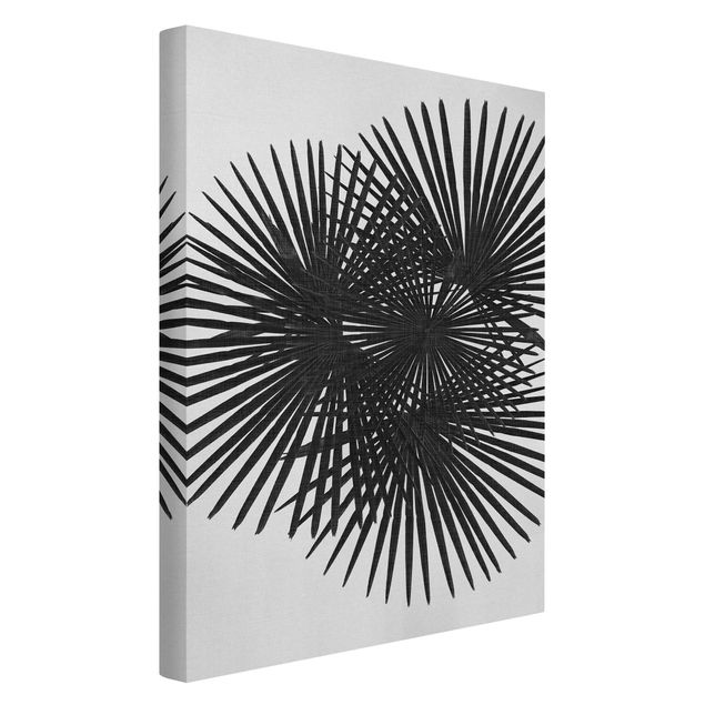 Leinwand Kunstdruck Palmenfarne in Schwarz-Weiß