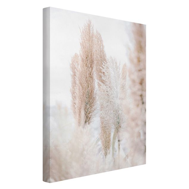 Leinwandbild Kunstdruck Pampasgras im Weißen Licht