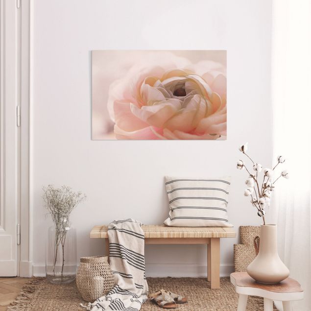 Wandbilder Rosen Rosa Blüte im Fokus