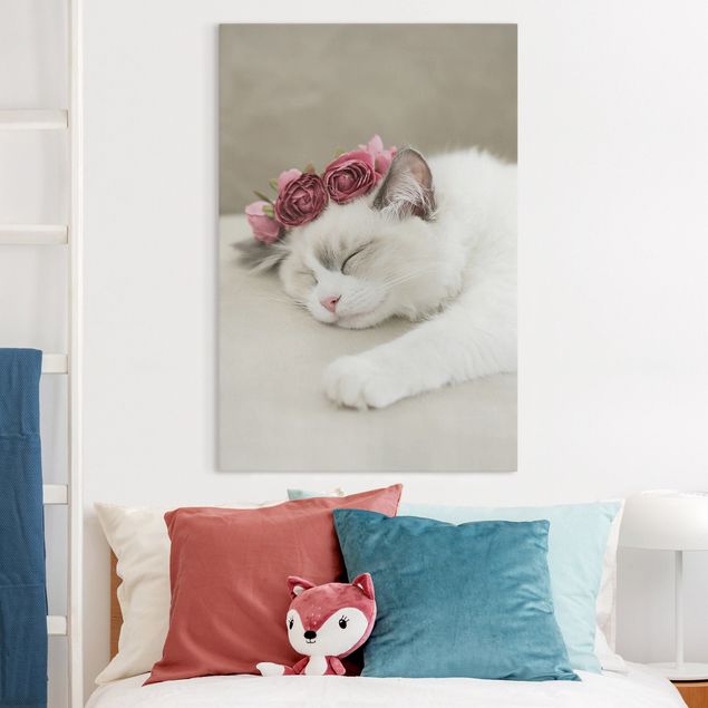 Leinwand Bilder XXL Schlafende Katze mit Rosen