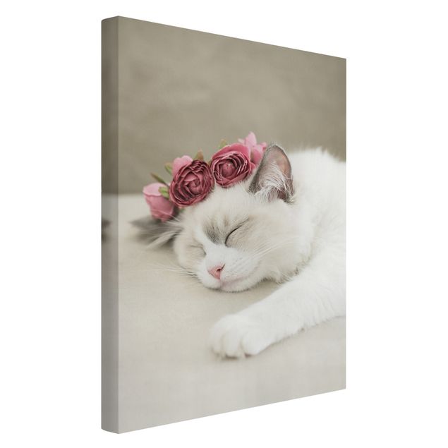 Wandbilder Tiere Schlafende Katze mit Rosen
