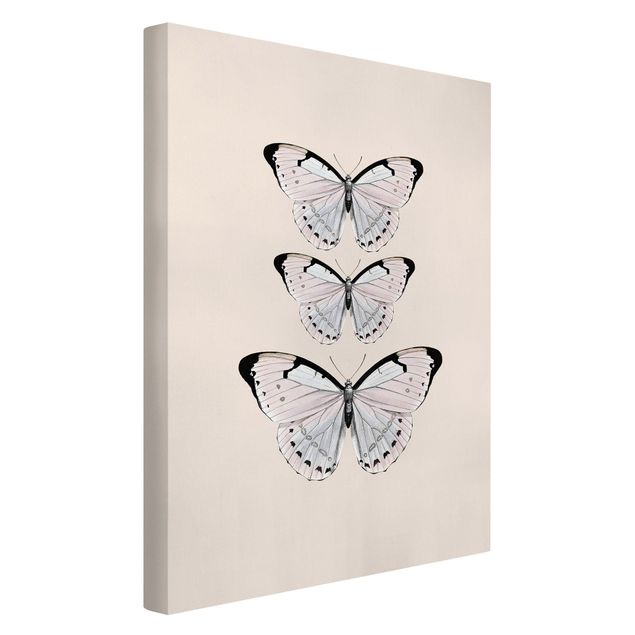 Leinwand Kunstdruck Schmetterling auf Beige