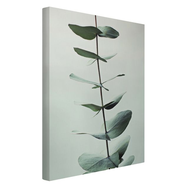 Moderne Leinwandbilder Wohnzimmer Symmetrischer Eukalyptuszweig