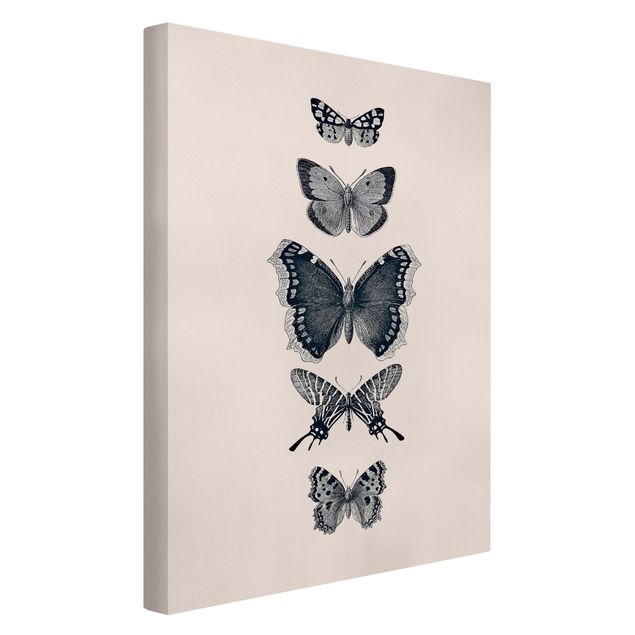 Kunstdrucke auf Leinwand Tusche Schmetterlinge auf Beige