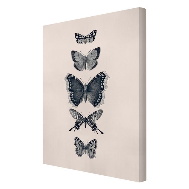 Wandbilder Wohnzimmer modern Tusche Schmetterlinge auf Beige